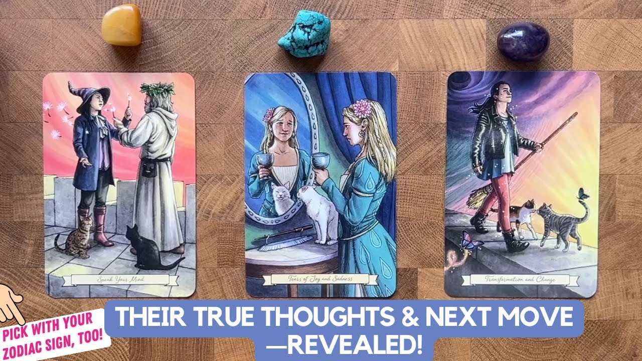 What's This Person's Thoughts About You? What Do They Plan To Do Next? | Timeless Reading