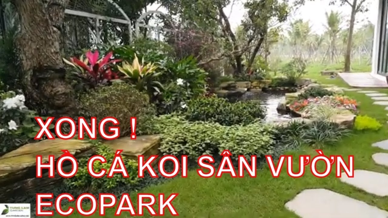 ✅KOI.84-Hoàn thiện thi công trồng cây trang trí hồ cá Koi sân vườn Park River Ecopark/TungLam Garden