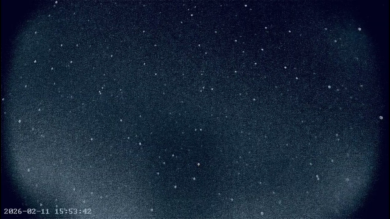 NW4 