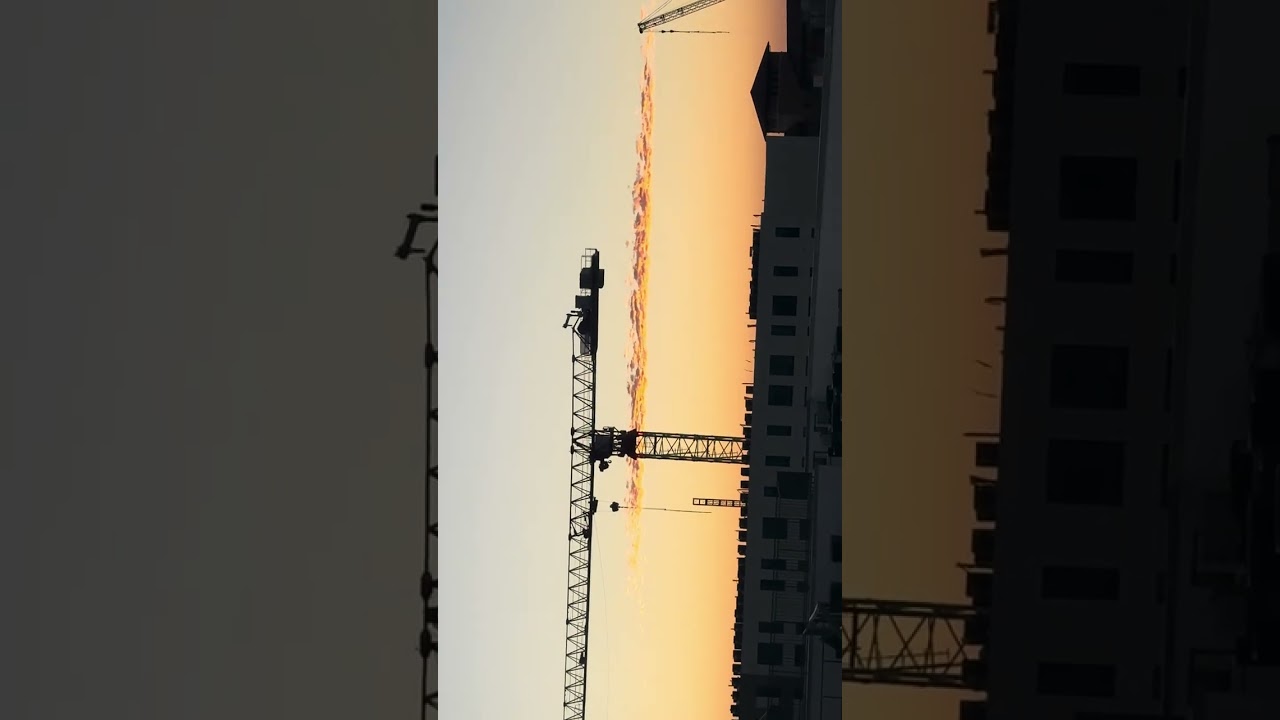 Acrobats | Day 225