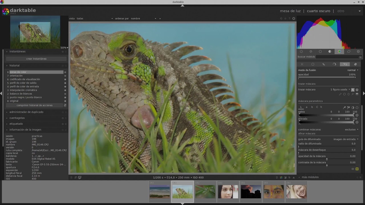 Tutorial Darktable 5 Introducción al uso de máscaras nivel 0