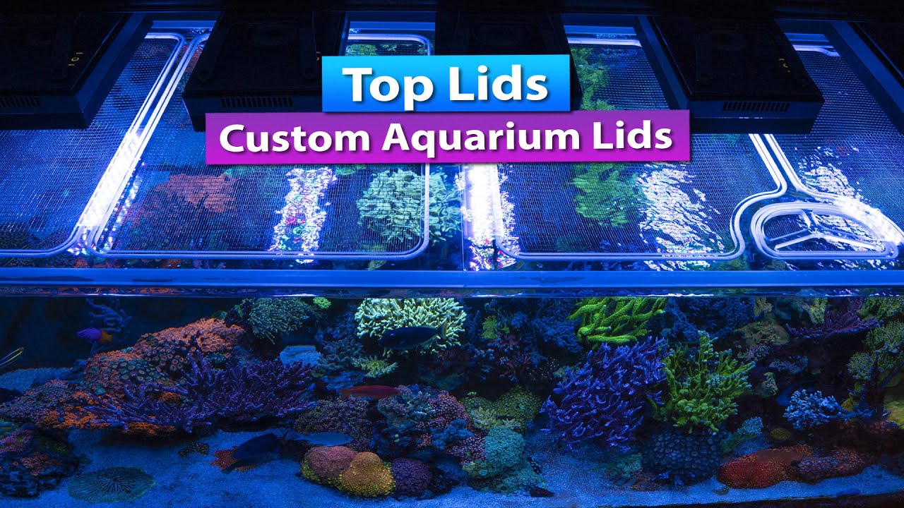 Top Lids  customs aquarium lids - Waterbox and Lagoon new tops!