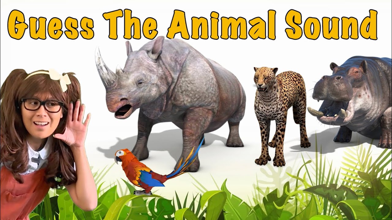 Guess The Jungle Animal Sound with Soso