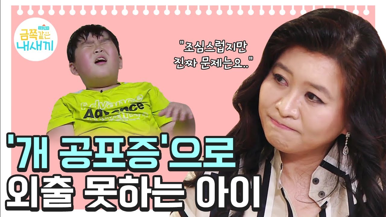 사회성 발달이 부족한 아이는 어떻게 해야 할까요? [오은영쌤 육아지침서]