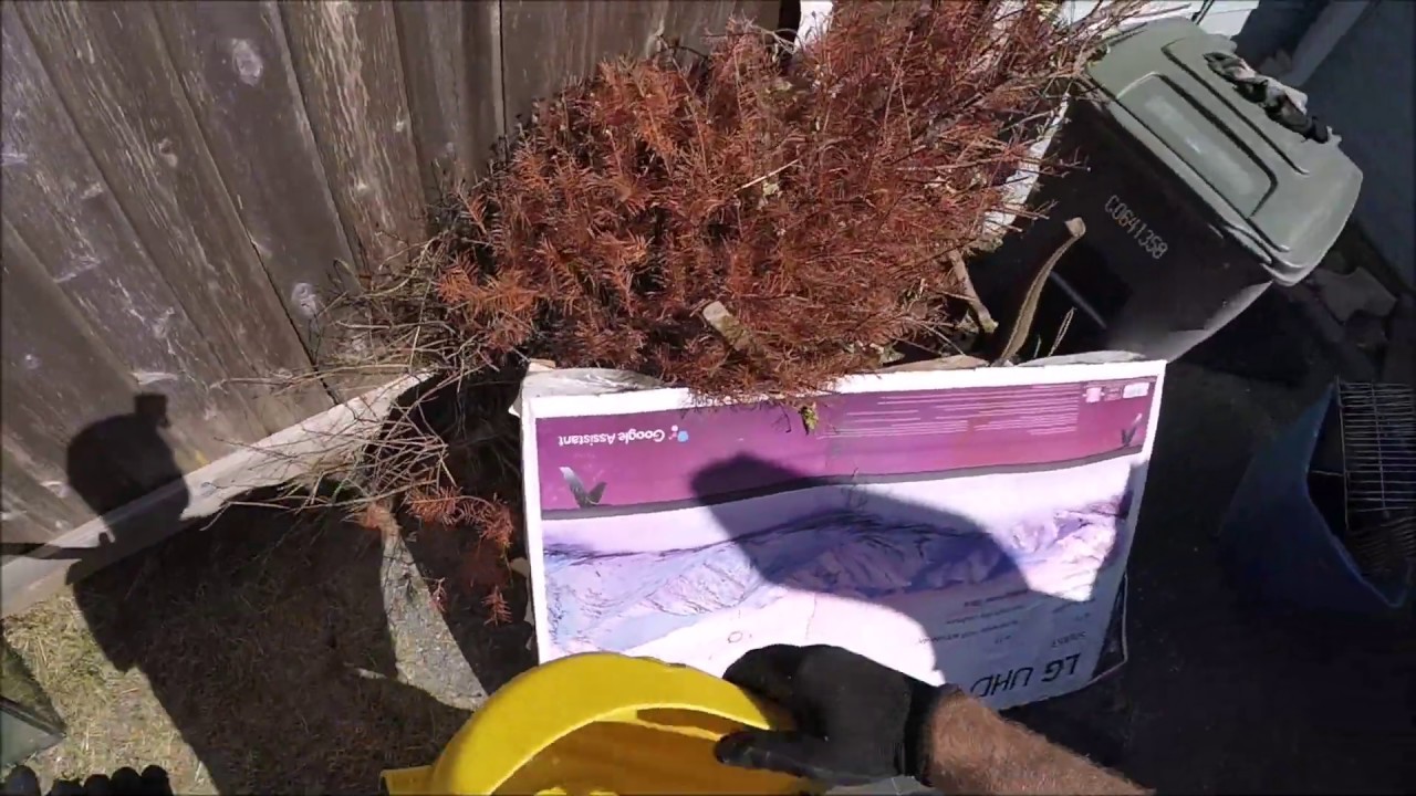 Dumping Garbage & Street Scrapping For Cash Money