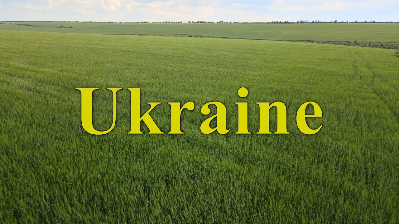 4K Bird's View of beautiful Ukrainian Grain Fields - Russian Invasion of Ukraine has to stop