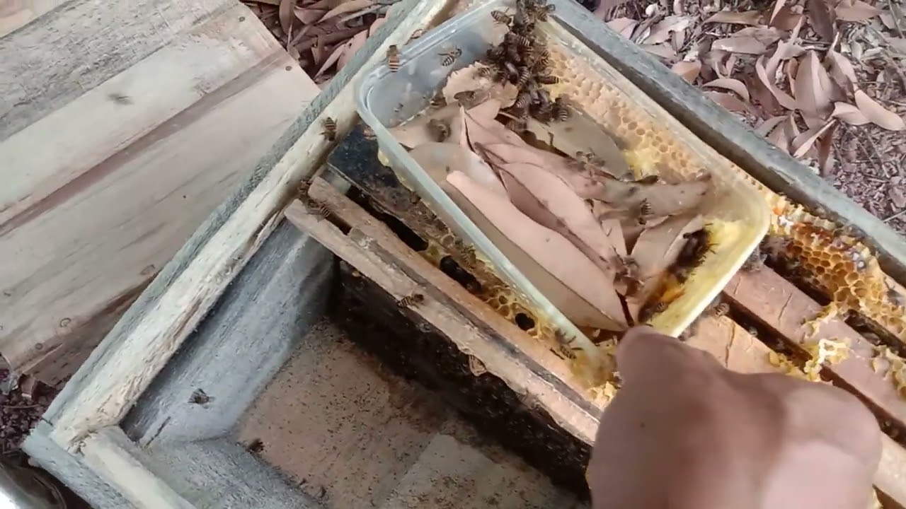 Đầu xuân em chức toàn thế các bác sức khỏe hạnh phúc