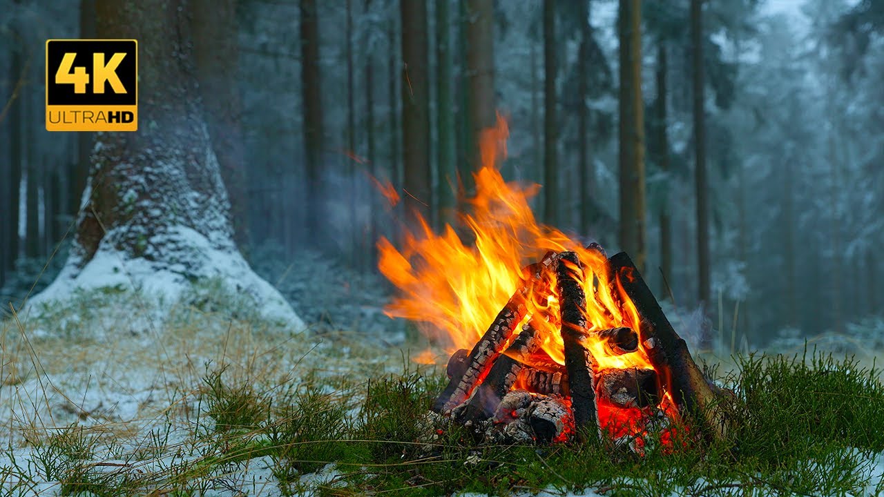 Это НАСТОЯЩИЙ зимний костер в заснеженном лесу 🌲❄️ 100% аутентичные звуки