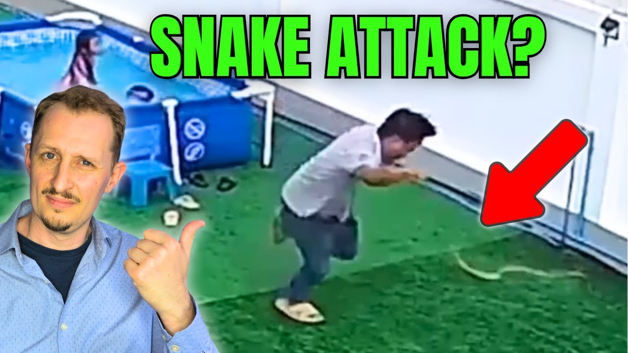 Zoologist Reacts to 