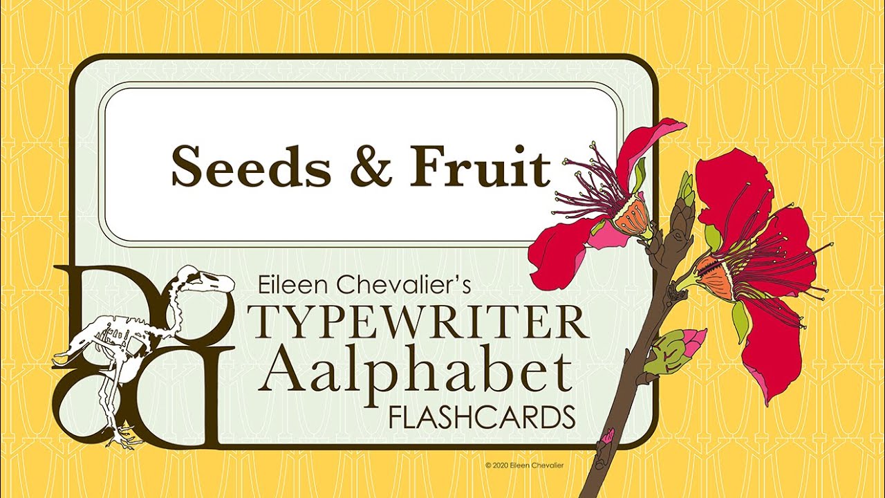 Botany Lesson 23: Seeds & Fruit