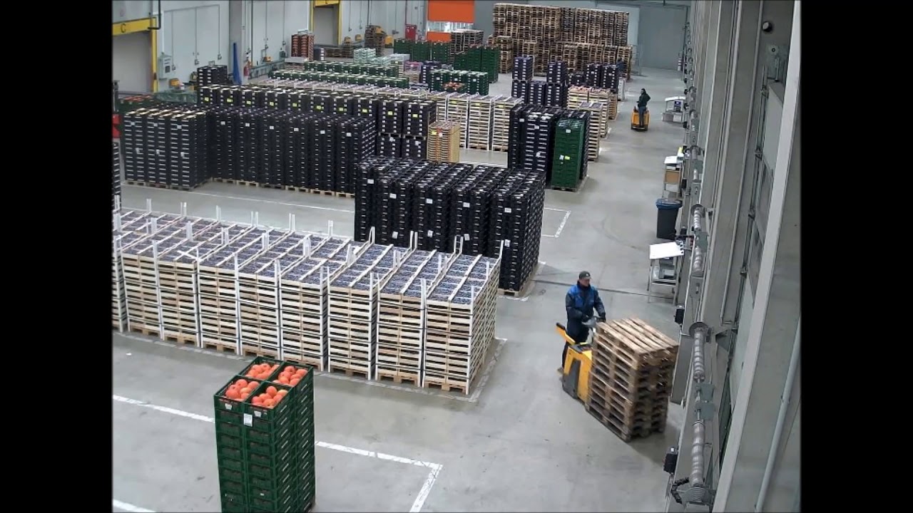 Ein Tag in der Verladehalle der OGA/OGV Nordbaden eG