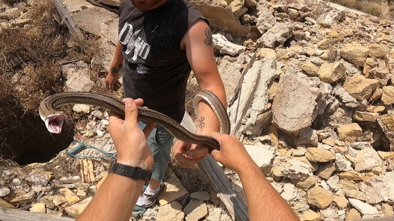 Rescate de una culebra de escalera de una cisterna