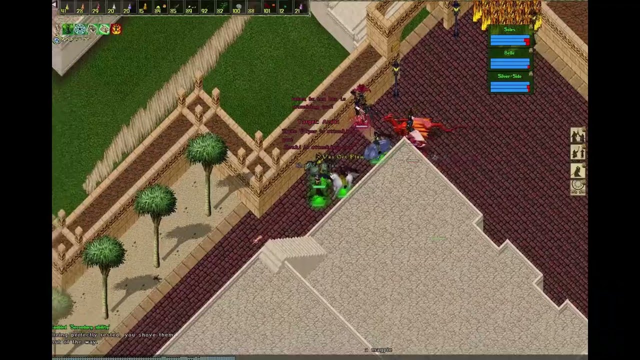 Ultima Online YGW Fight 20260213