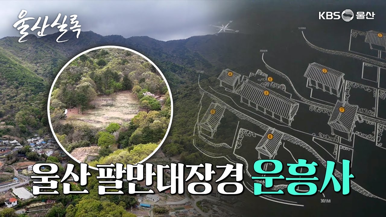 울산의 팔만대장경 운흥사지 [KBS울산 보물창고 - 울산실록] 25.5.6 방송