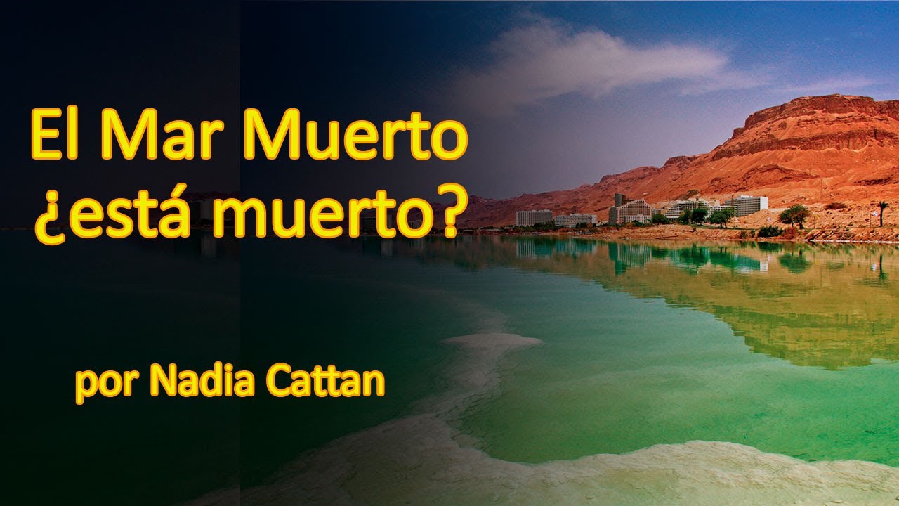 &iquest;EL MAR MUERTO EST&Aacute; MUERTO?  POR NADIA CATTAN