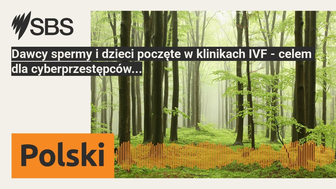 Dawcy spermy i dzieci poczęte w klinikach IVF - celem dla cyberprzestępc&oacute;w... | SBS Polish - SBS...
