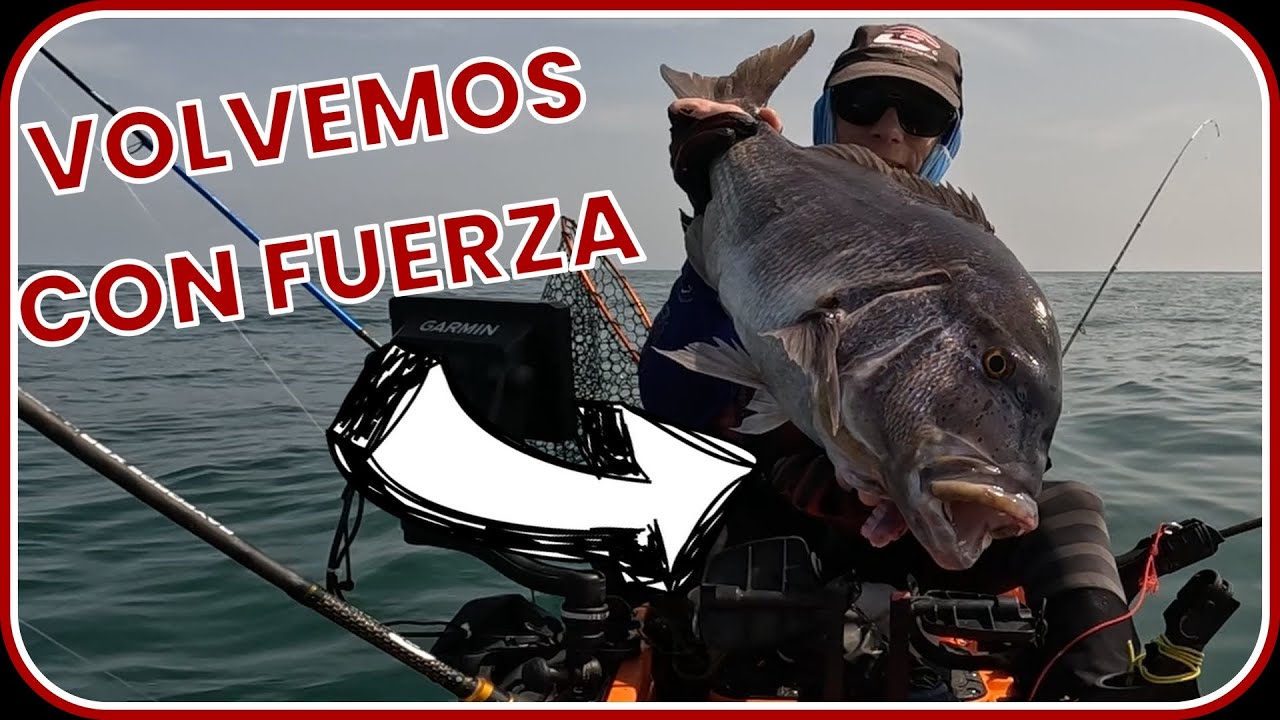 Tras una larga espera... &iexcl;As&iacute; fue la BRUTAL batalla con el primer DENT&Oacute;N de la temporada!🎯