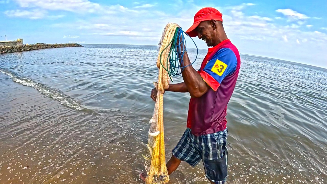 Early Morning Hustle A Day in the Life of a Negombo's Cast Net Fisherman