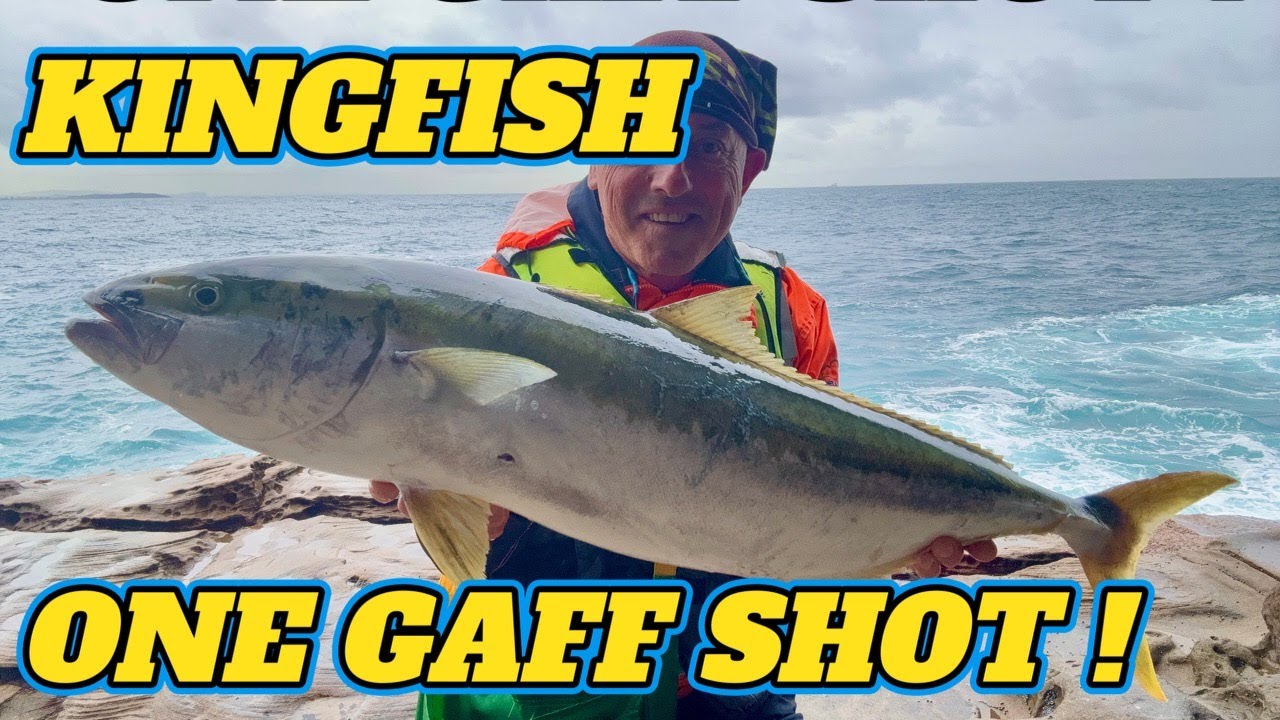 Kingfish Super Hard To Land