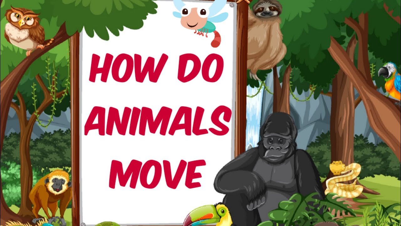 How do animals move || Animals move in different ways ||
