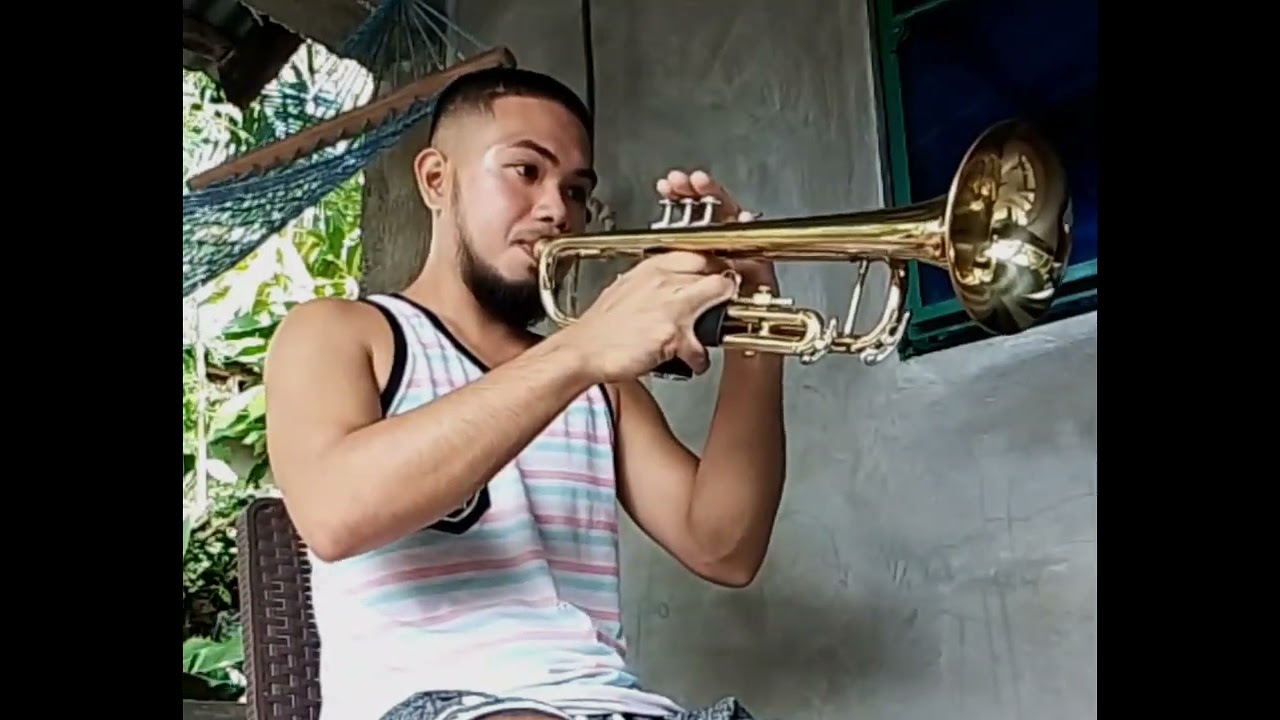 Stand By Me - Ben E. King (Trumpet) Cover 🎺