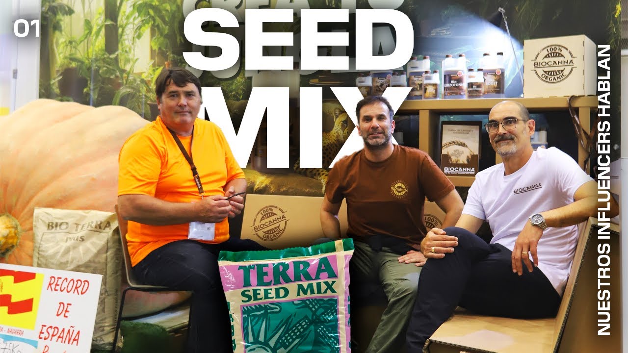 Nuestros influencers hablan — SEED MIX