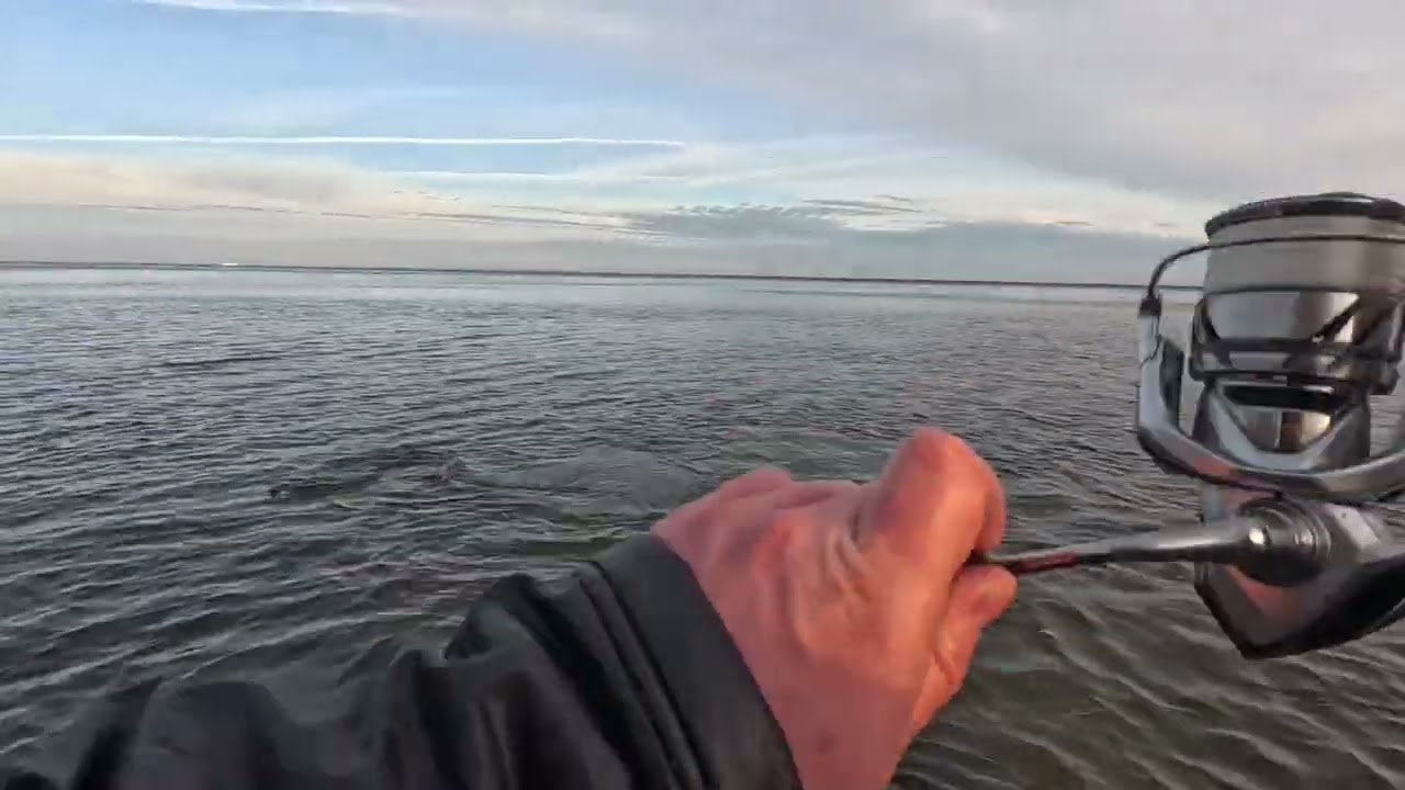 Meine PB Meerforelle an der Ostsee! Wahnsinns Drill! 🎣