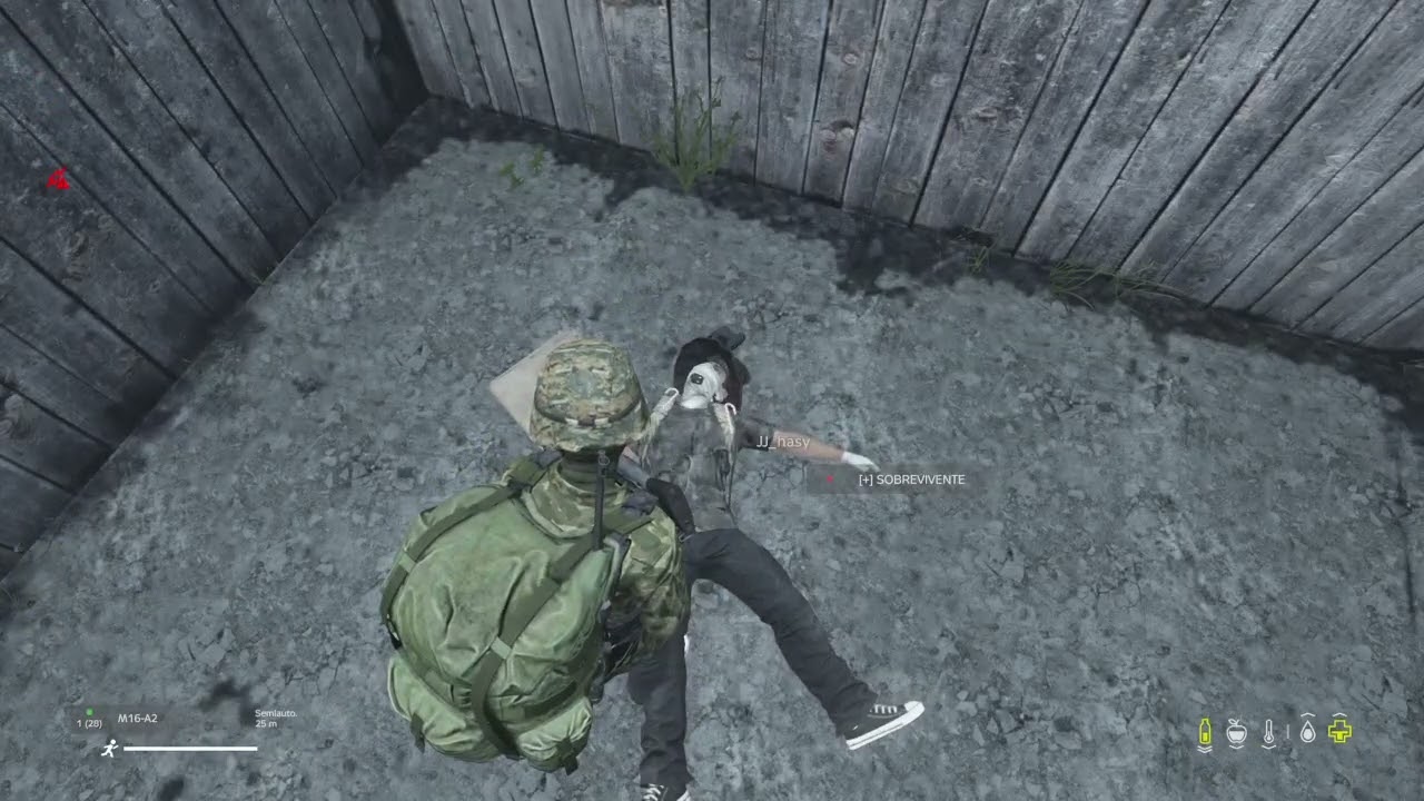 DayZ_20260205150033