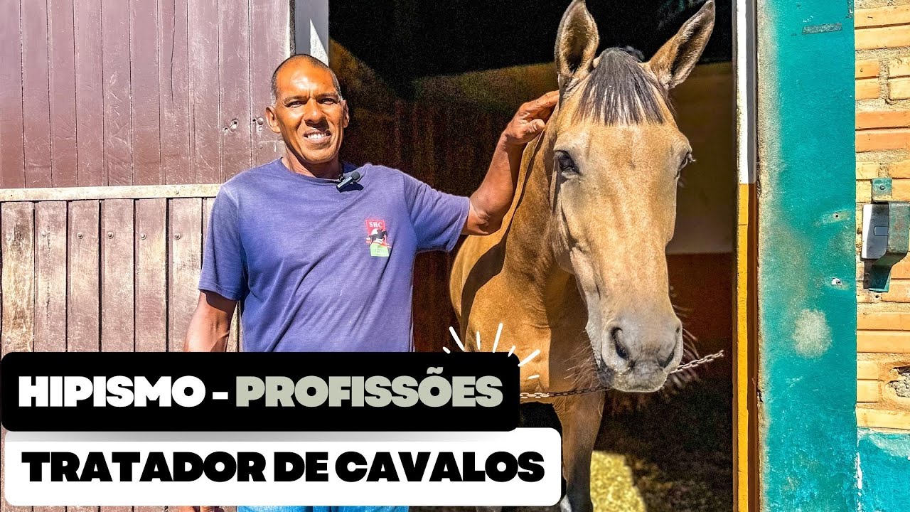 HIPISMO - PROFISSÕES (TRATADOR DE CAVALOS)