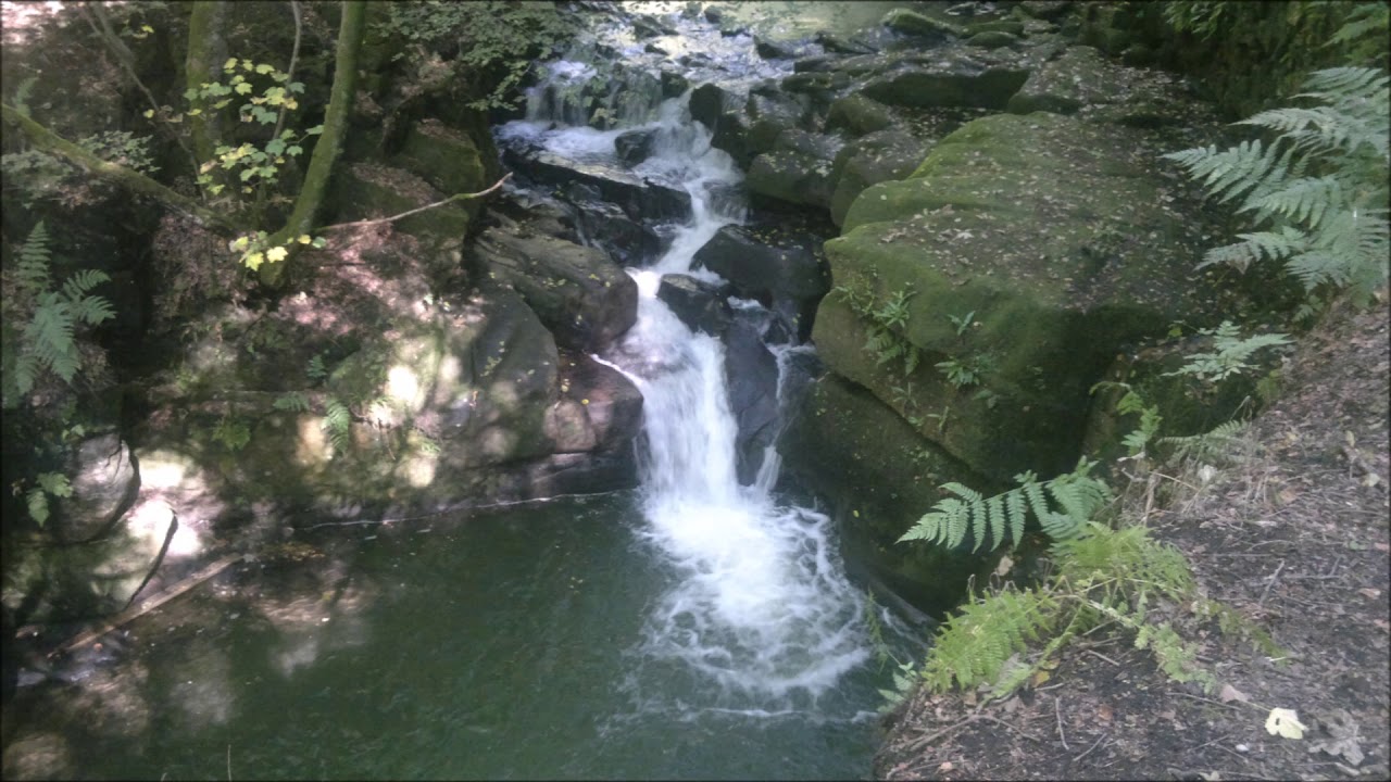 Healey Dell Bacup