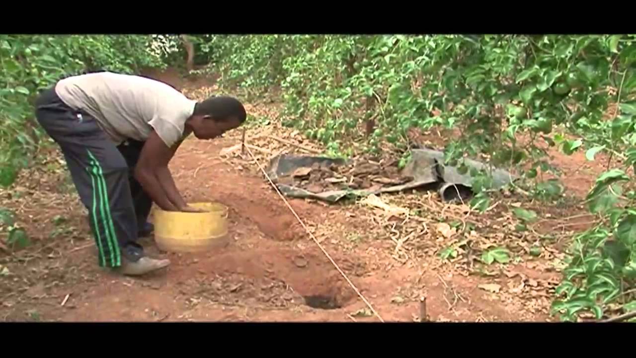 Pafid Conservation Agriculture Programme