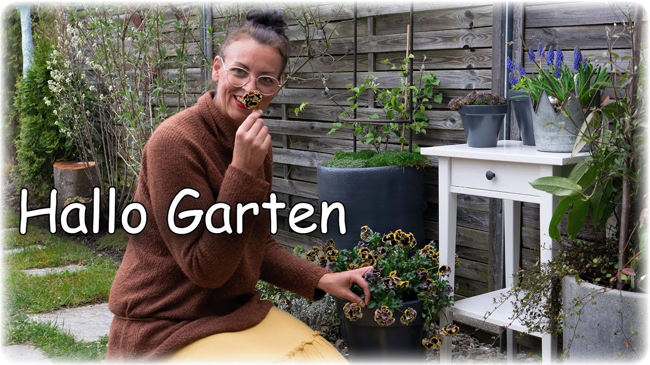 REIHENHAUSGARTEN | RUNDGANG | MEIN GARTEN IST IMMER WIEDER ANDERS