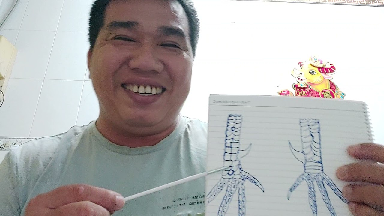 @ cánh để xem nhận biết những vẫy gà cực tốt cho a e mới biết chơi