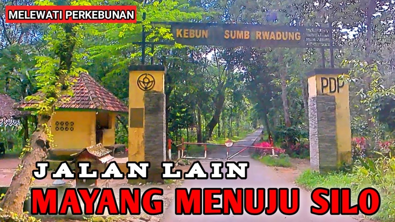 JALUR BERBEDA ‼️ PERJALANAN DARI MAYANG MENUJU  SILO ✅ VIA SEPUTIH - KARANGHARJO