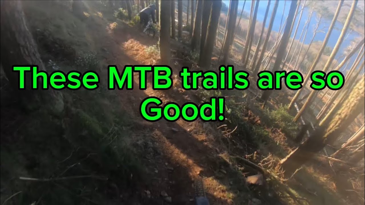 Steep & Fast MTB Trails | POV Ride #mtb #pov #downhillmtb #emtb #downhill #enduro #mountainbiking 