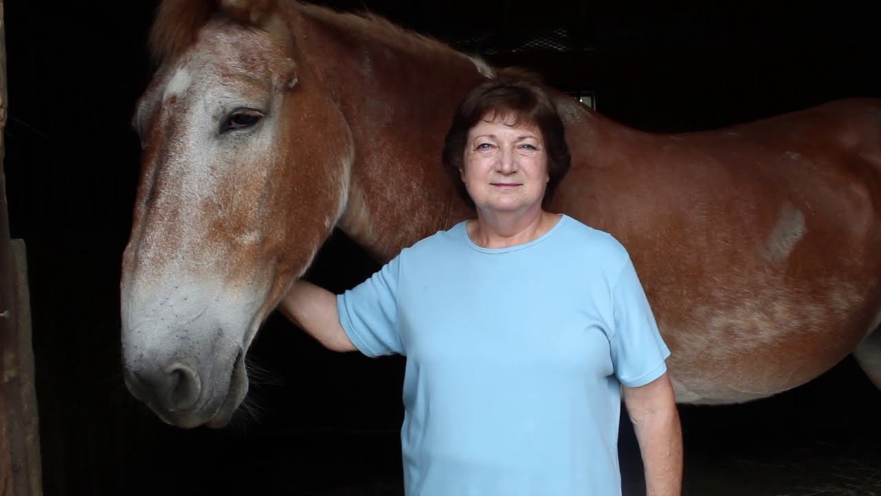 Touring Equine Advocates Rescue and Sanctuary: Mule Town