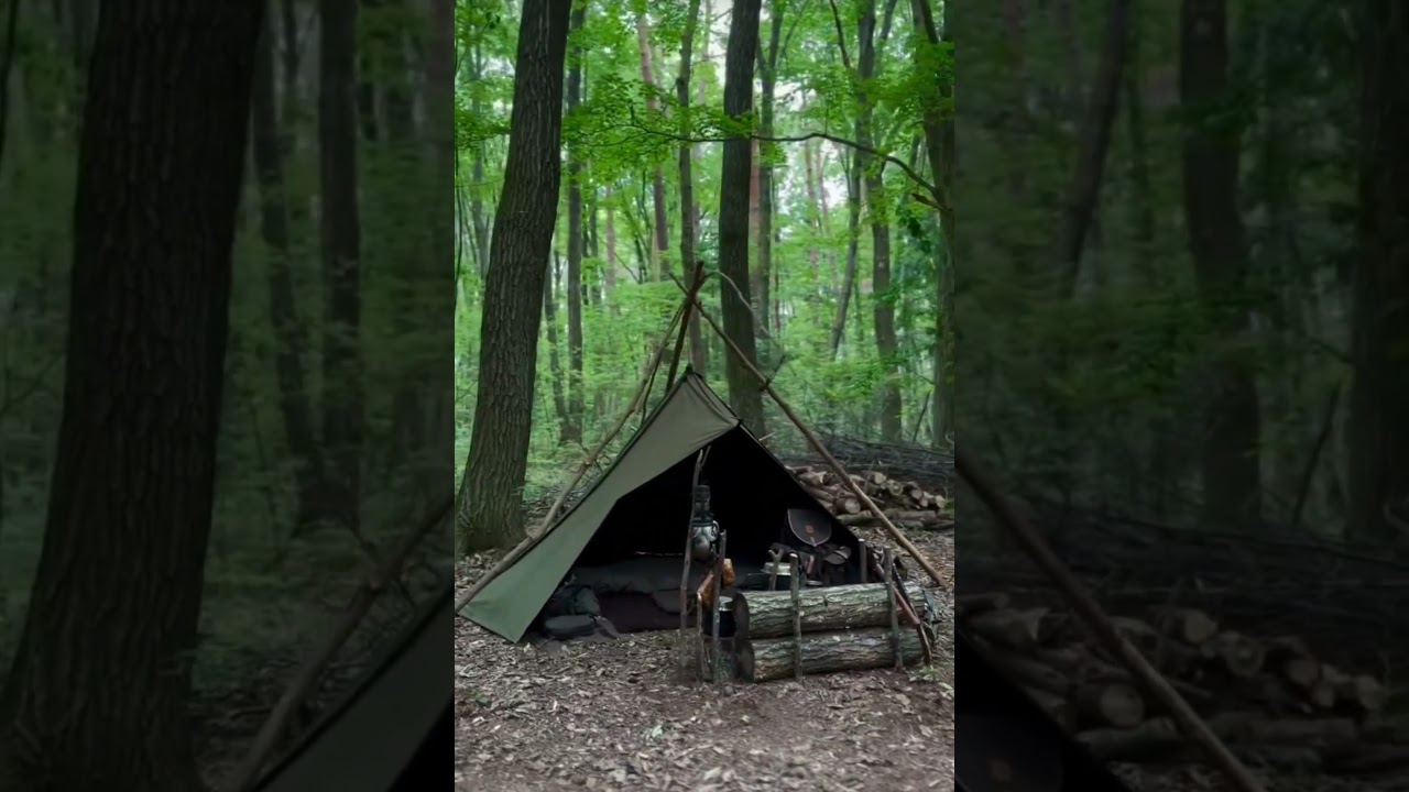FOREST CAMPING🌿#nature #solocamping #camping #forestcamping #travel #campinglife #naturelovers