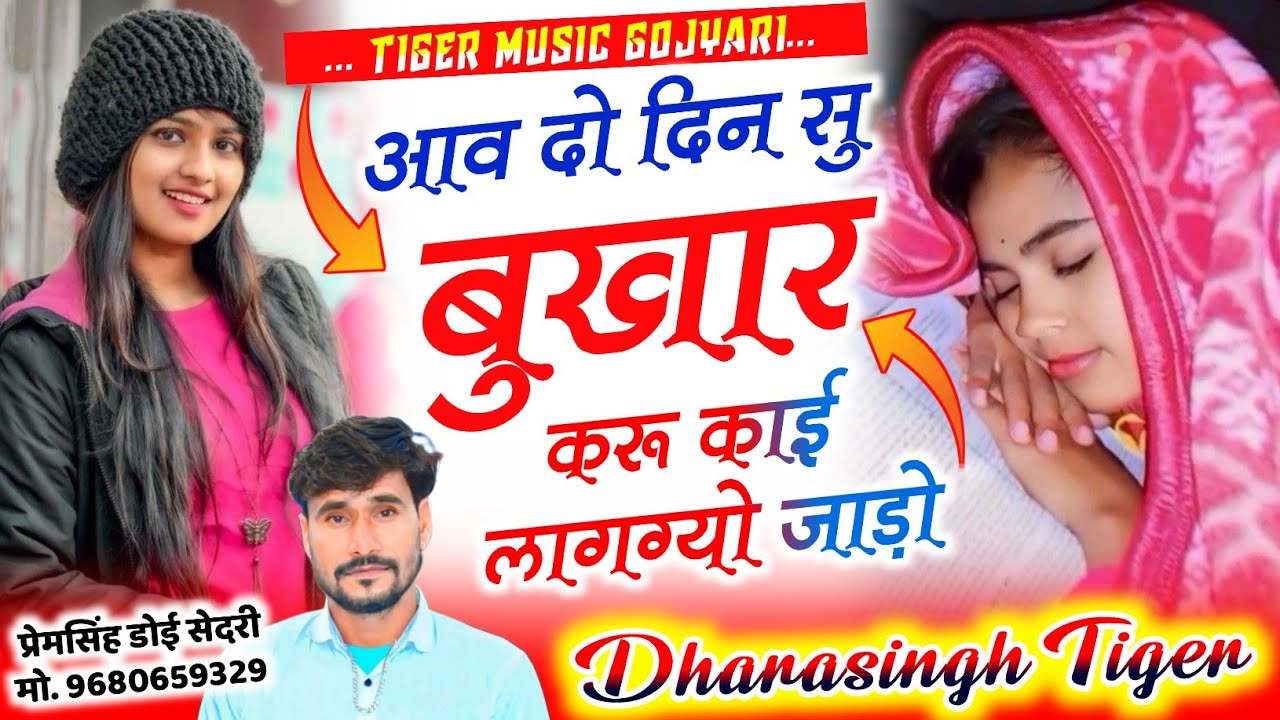 SONG (2527) Trending ~ वायरल तर्ज में सोंग || आव दो दिन सु बुखार करू काई || #singer_dharasingh_tiger