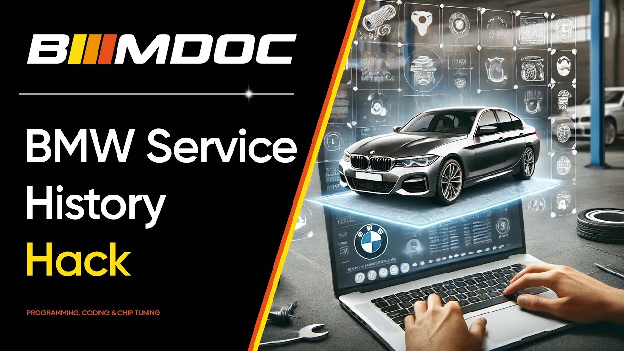 Дигитальная история обслуживания BWM: мануал по HU Service Manager и SHM