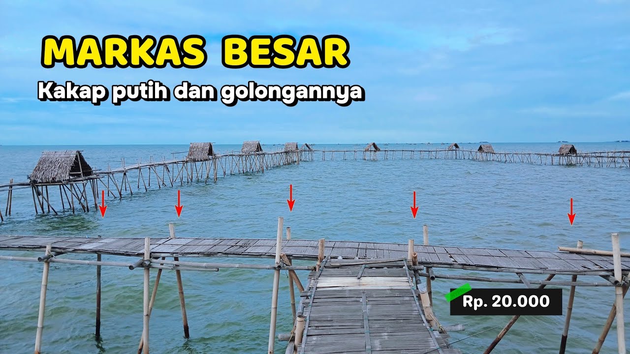 Blegug...  kenapa gak dari dulu mancing bagan ini, ternyata sarang kakap putih dan lainnya | 20.000
