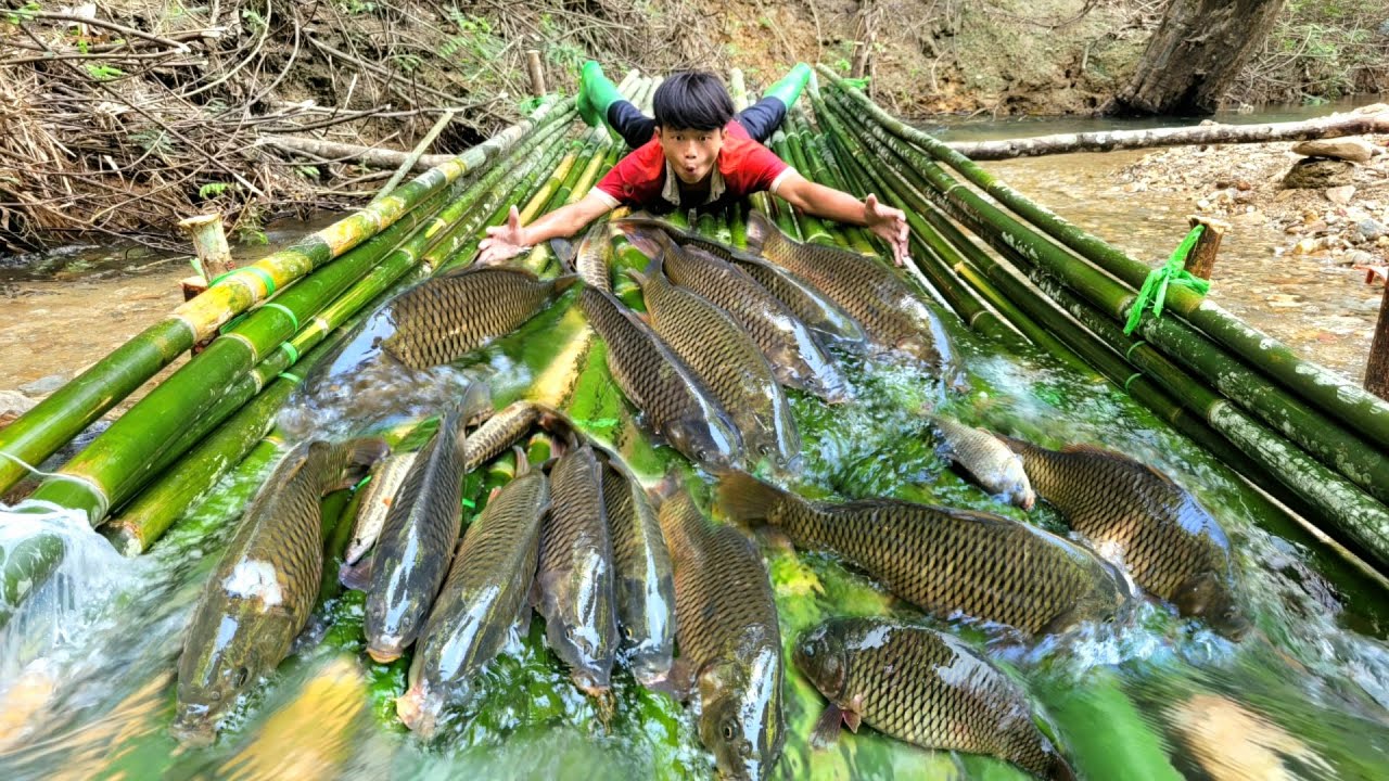 The boy caught fish using the ancient method. He caught all the big fish.