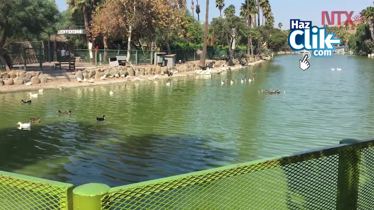 Santuario de animales decomisados