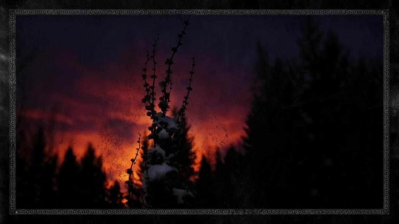 Blackbraid - Nocturnal Womb (Full EP)