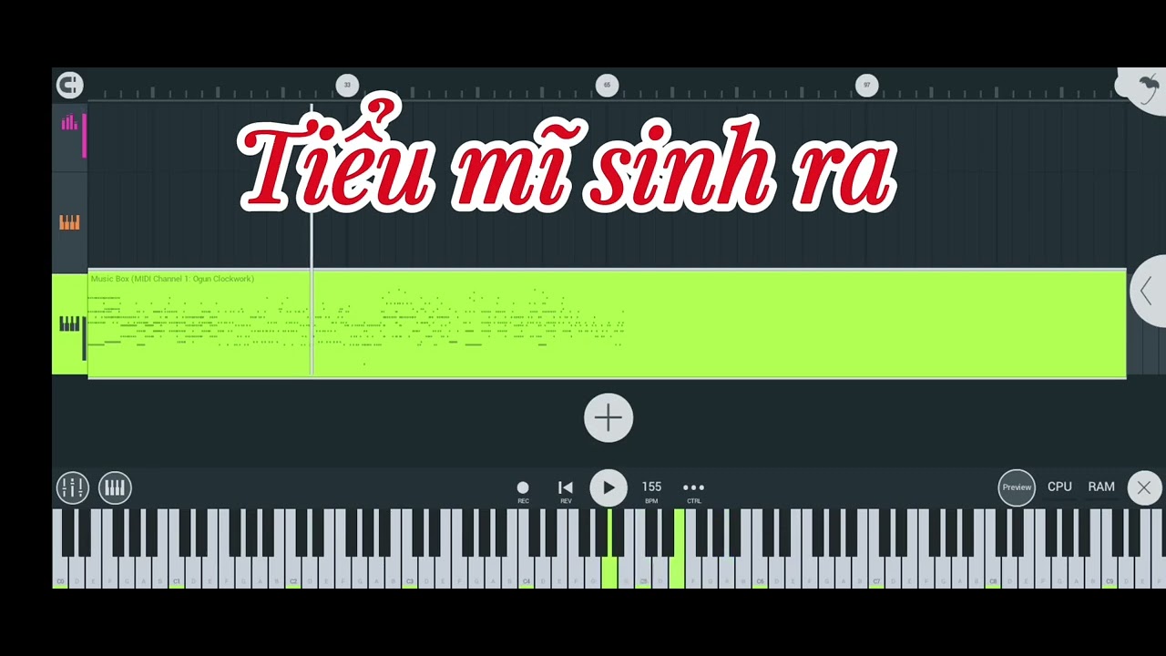 Midi basuri tiểu mĩ sinh ra... 12 nót