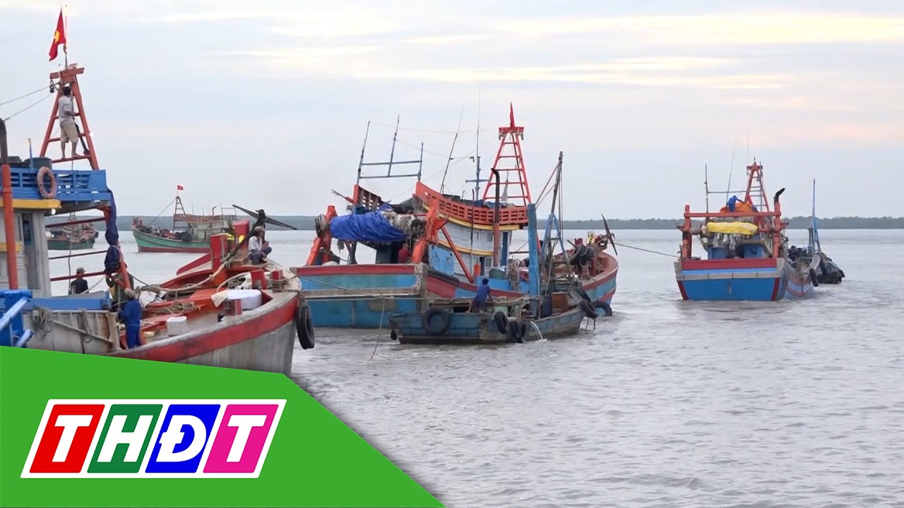 Xã Tân Điền (Đồng Tháp) phát huy tiềm năng kinh tế biển | Tự hào Đồng Tháp - 16/3/2026 | THDT