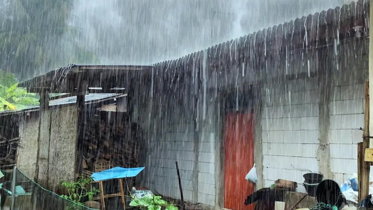 Village Morning Rainfall | Relaxing Countryside Sounds for Focus Meditation and Peace