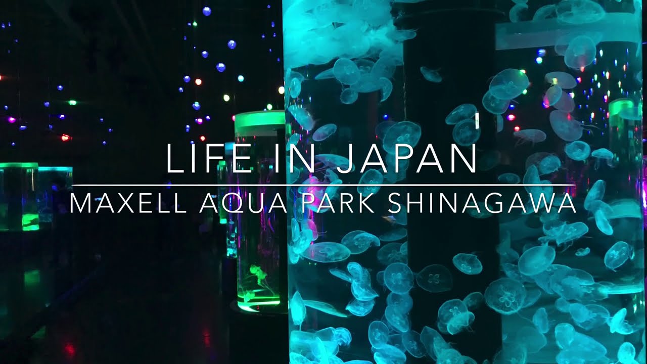 Relaxing images from Maxell Aqua Park Shinagawa | Tokyo Guide