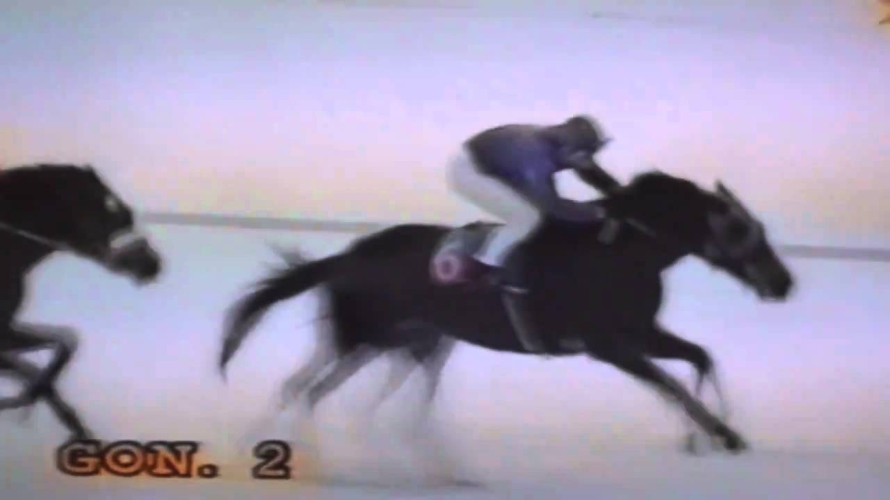 Wyścig I grupy - 18.11.1998 - Kornelia (Who Knows - Korona)