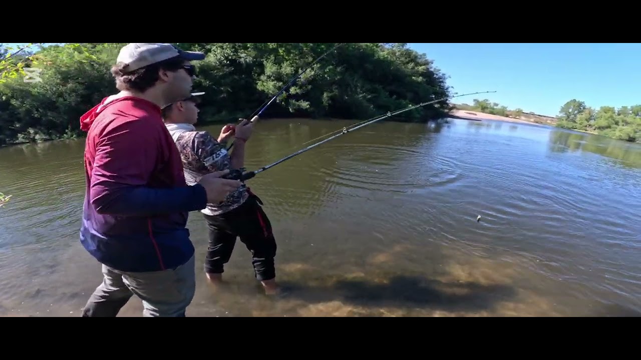 Piqu&eacute; en vivo, impresionante tararira. #fishing #pesca #pescaesportiva #2026 #parati 