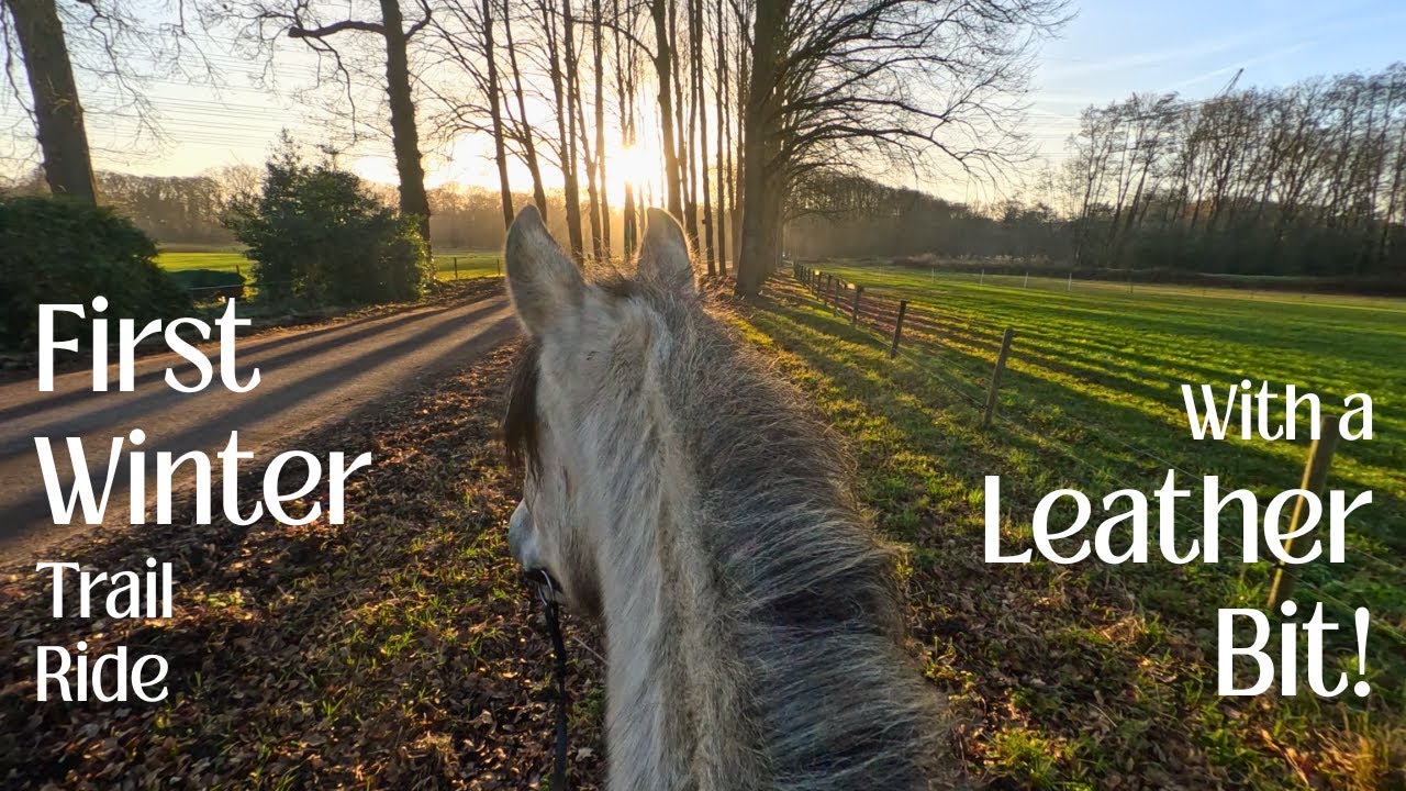 Our First Fun Winter Trail Ride of the Year | Leather Bit Test Outside